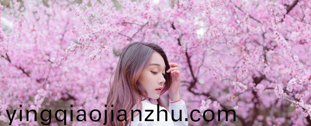 欧洲日韩免费视频网站