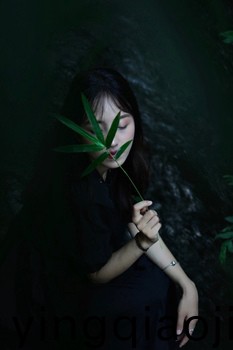 99久久精品无码一区二区毛片免费